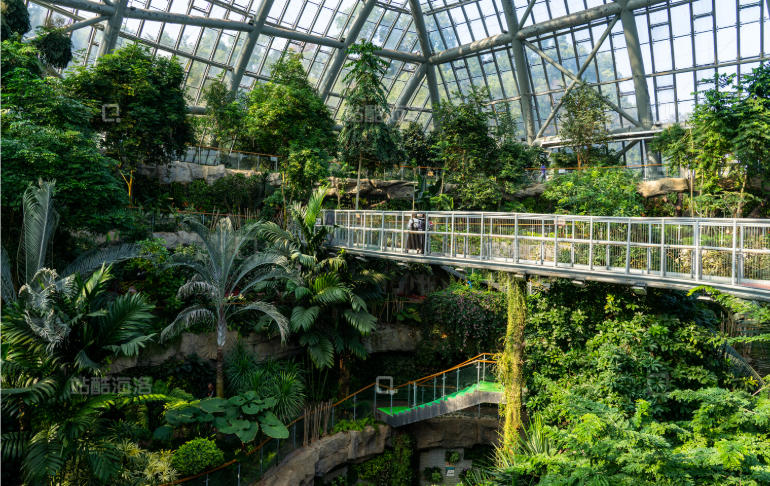 惠州植物园